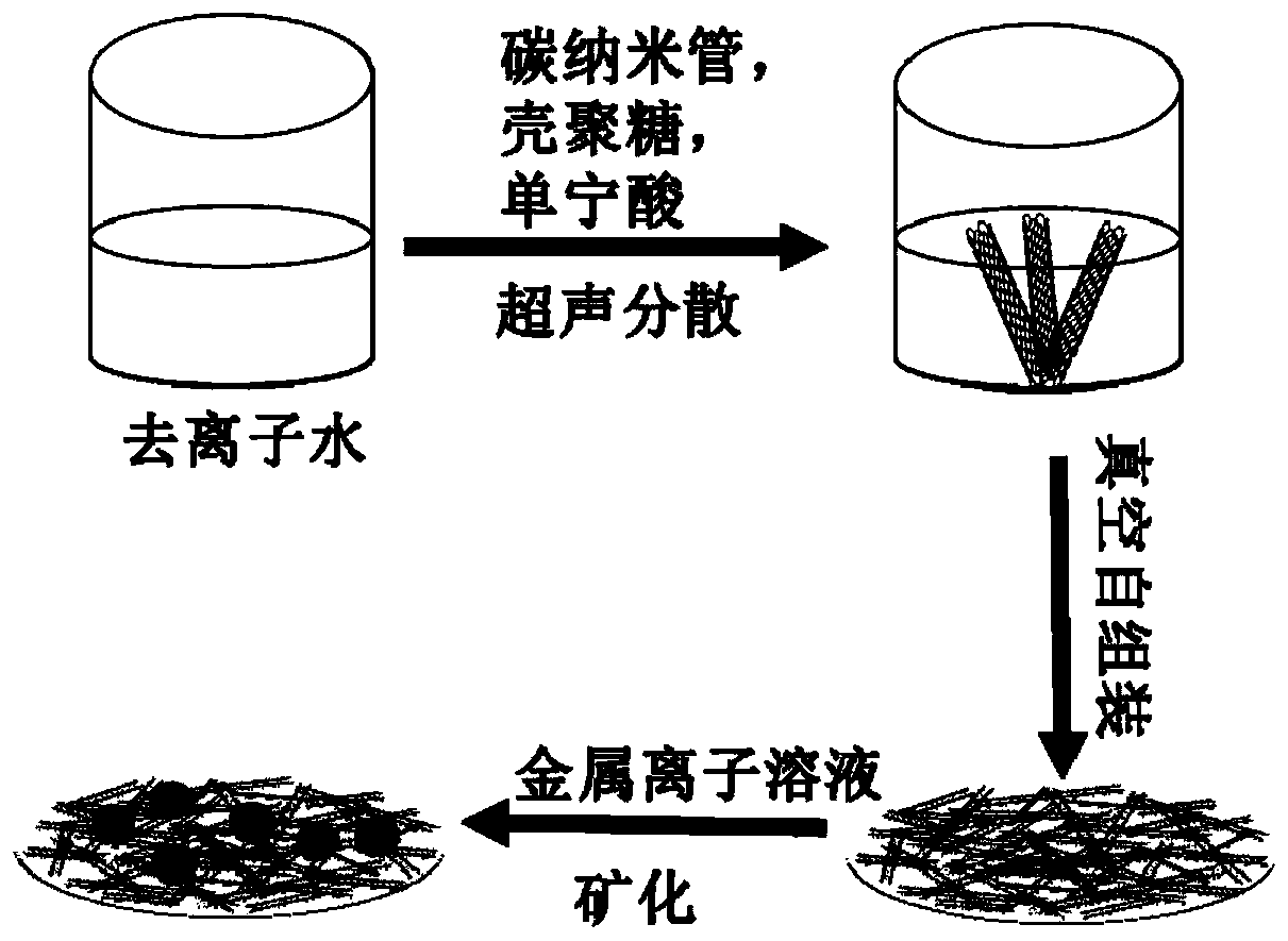 Preparation method for super-hydrophilic carbon nanotube nano-porous membrane