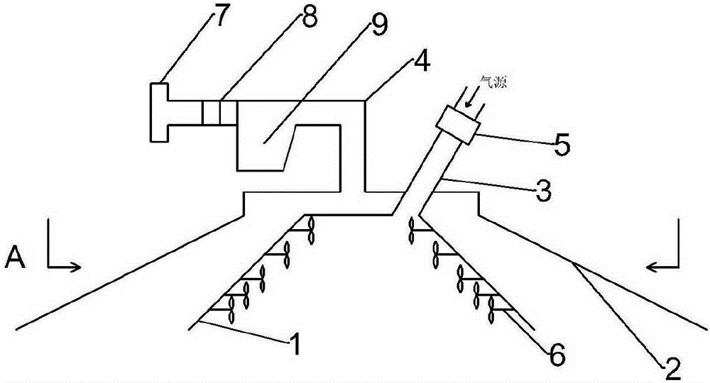 Dust removal device for carpet