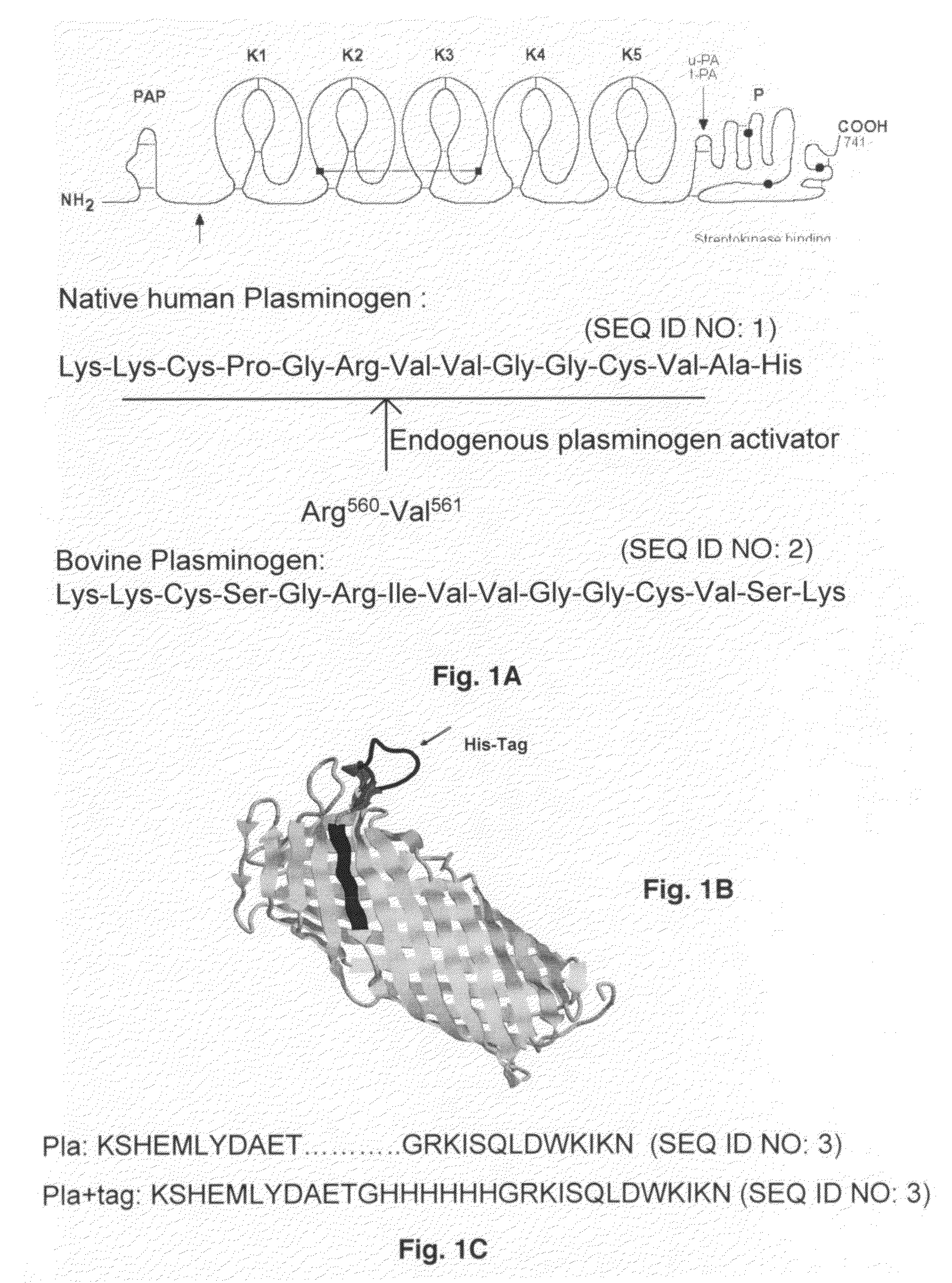 Substrate peptide sequences for plague plasminogen activator and uses thereof