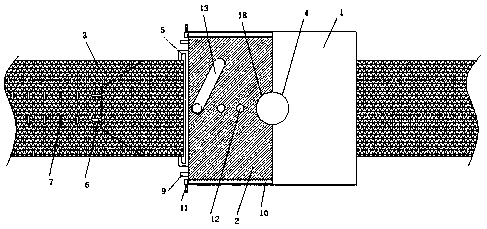 Abdominal cavity drainage fixing device for digestive tract tumor internal medicine