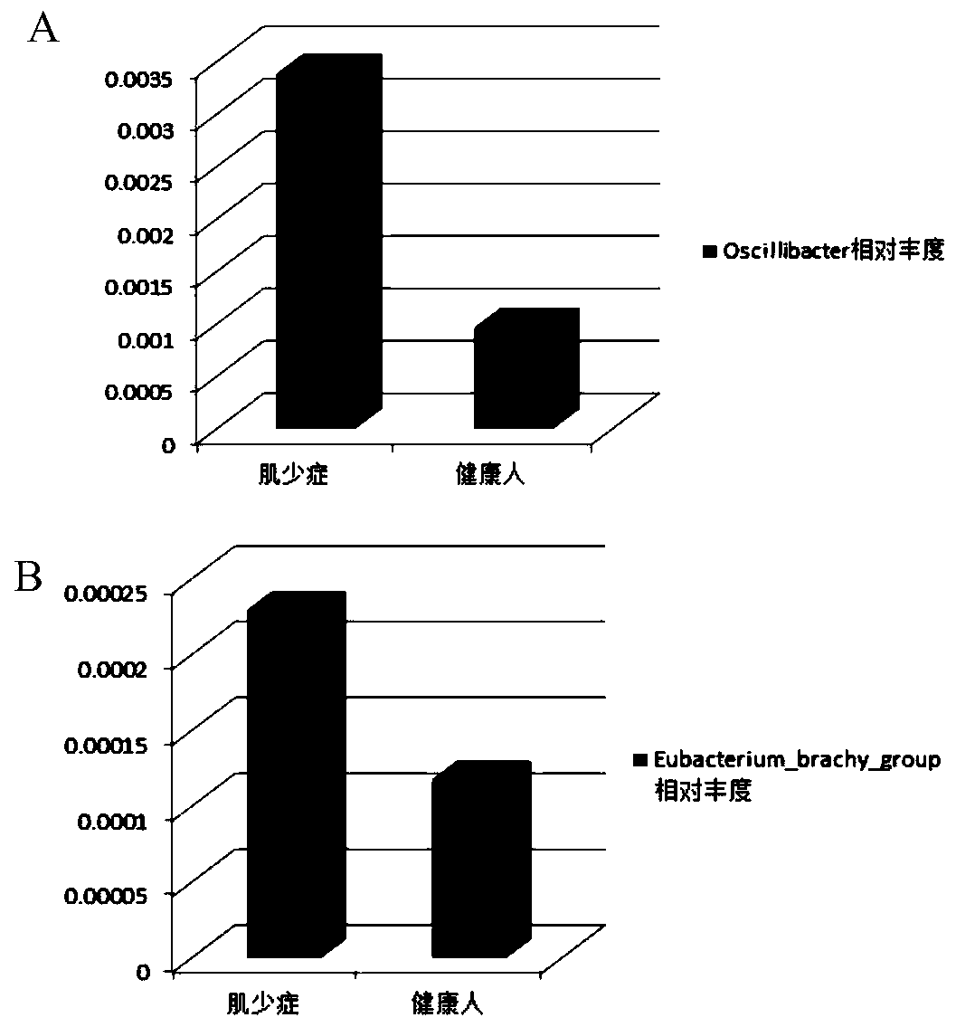 Intestinal-tract-derived flora for diagnosing sarcopenia and use of intestinal-tract-derived flora