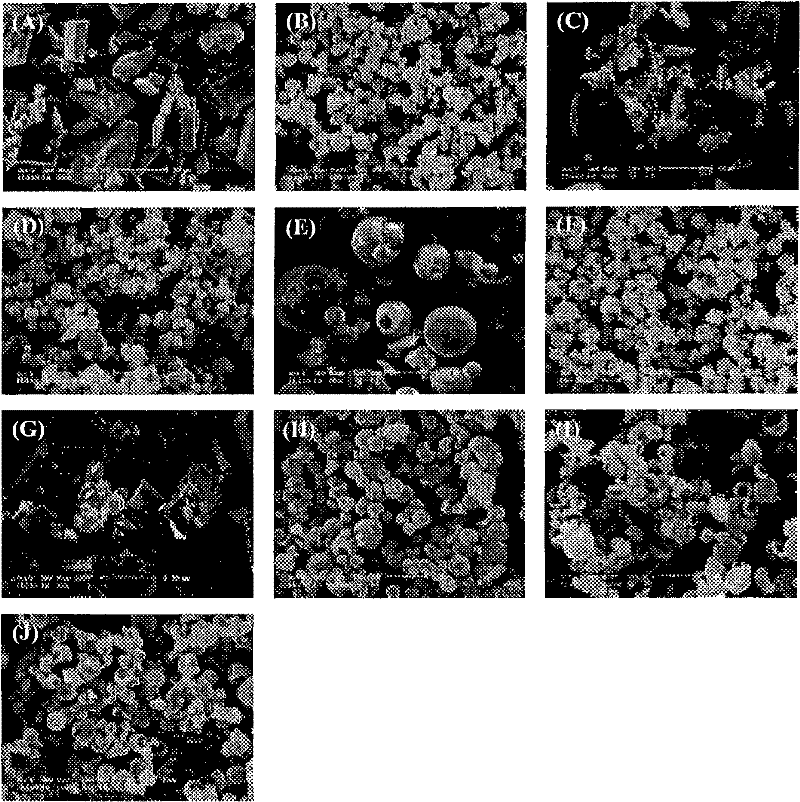 Andrographolide cyclodextrin inclusion compound, preparation method and application thereof