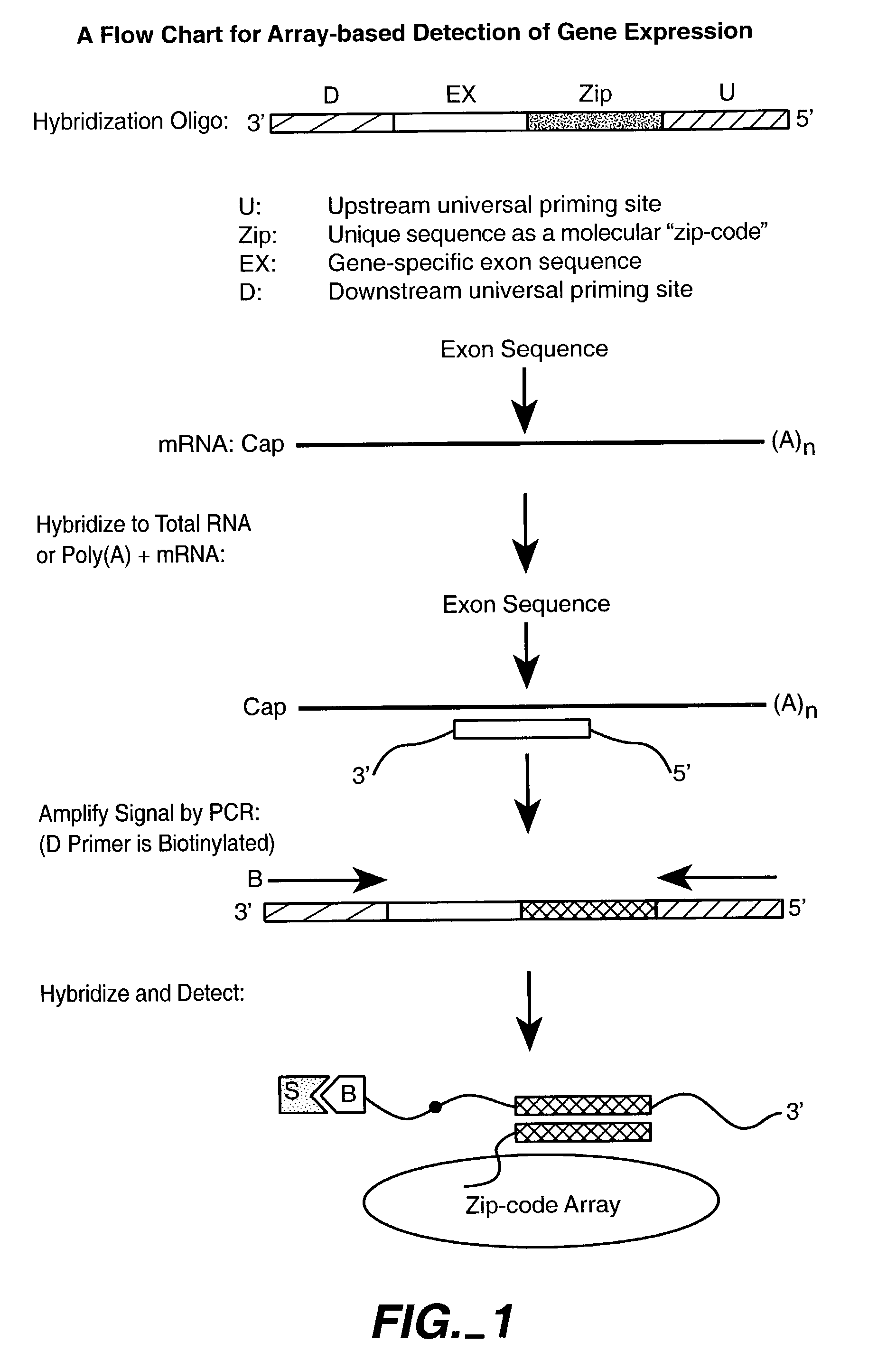 Multiplexed methylation detection methods