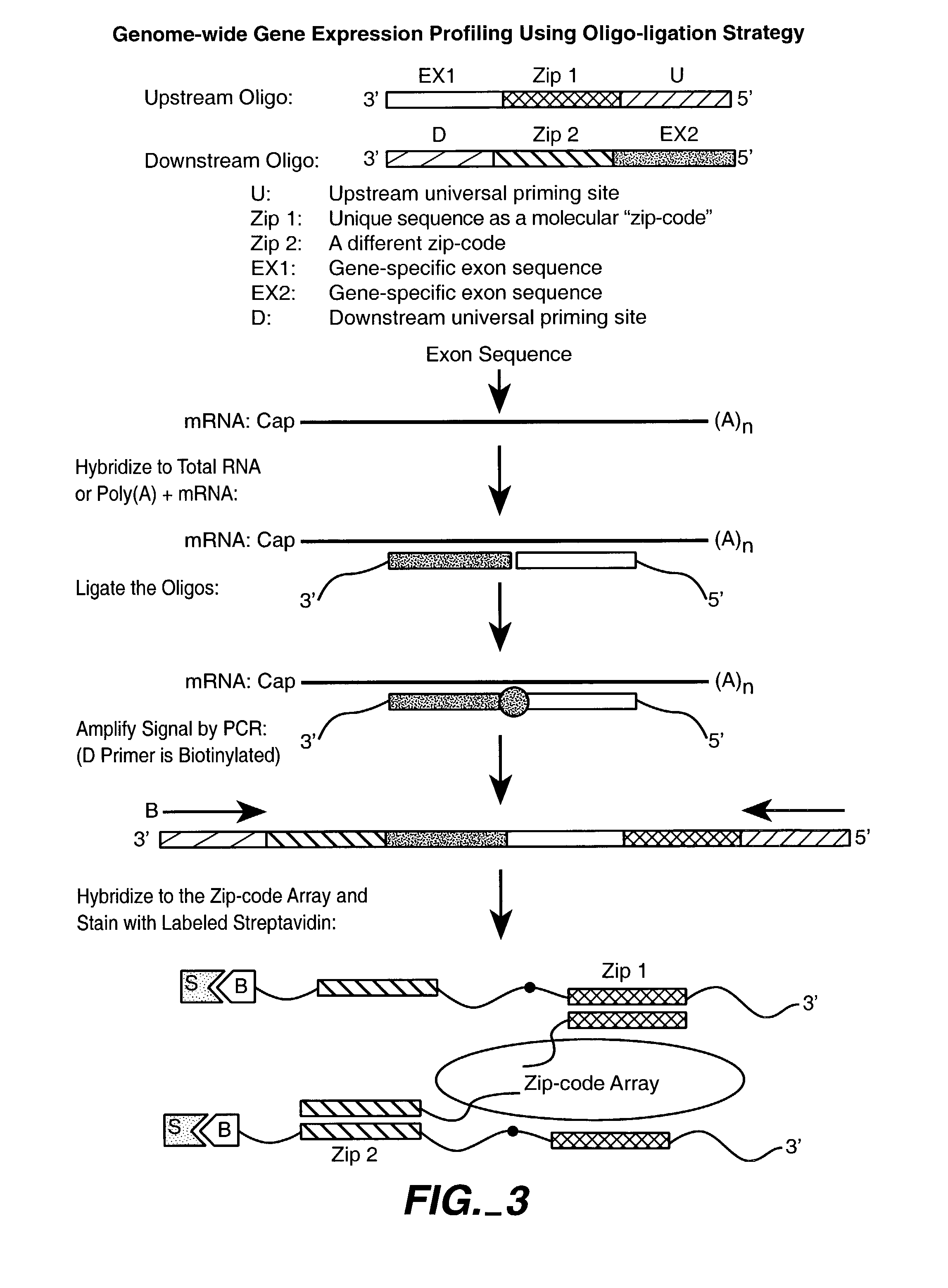 Multiplexed methylation detection methods