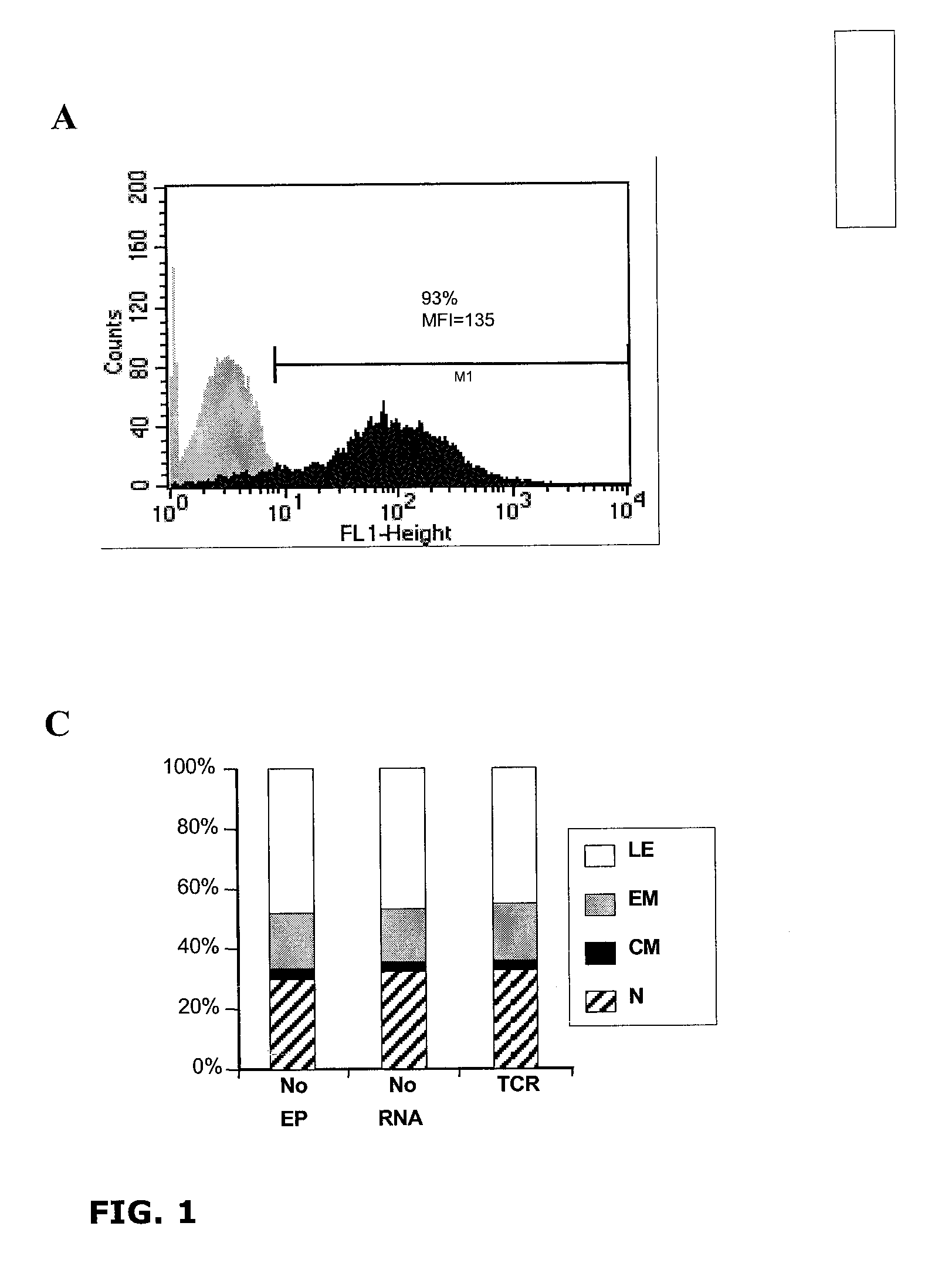 Methods for Generating Antigen-Specific Effector T Cells