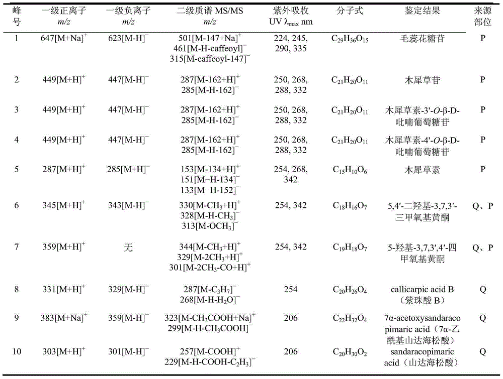 Callicarpa nudiflora extract with anti-inflammatory effect