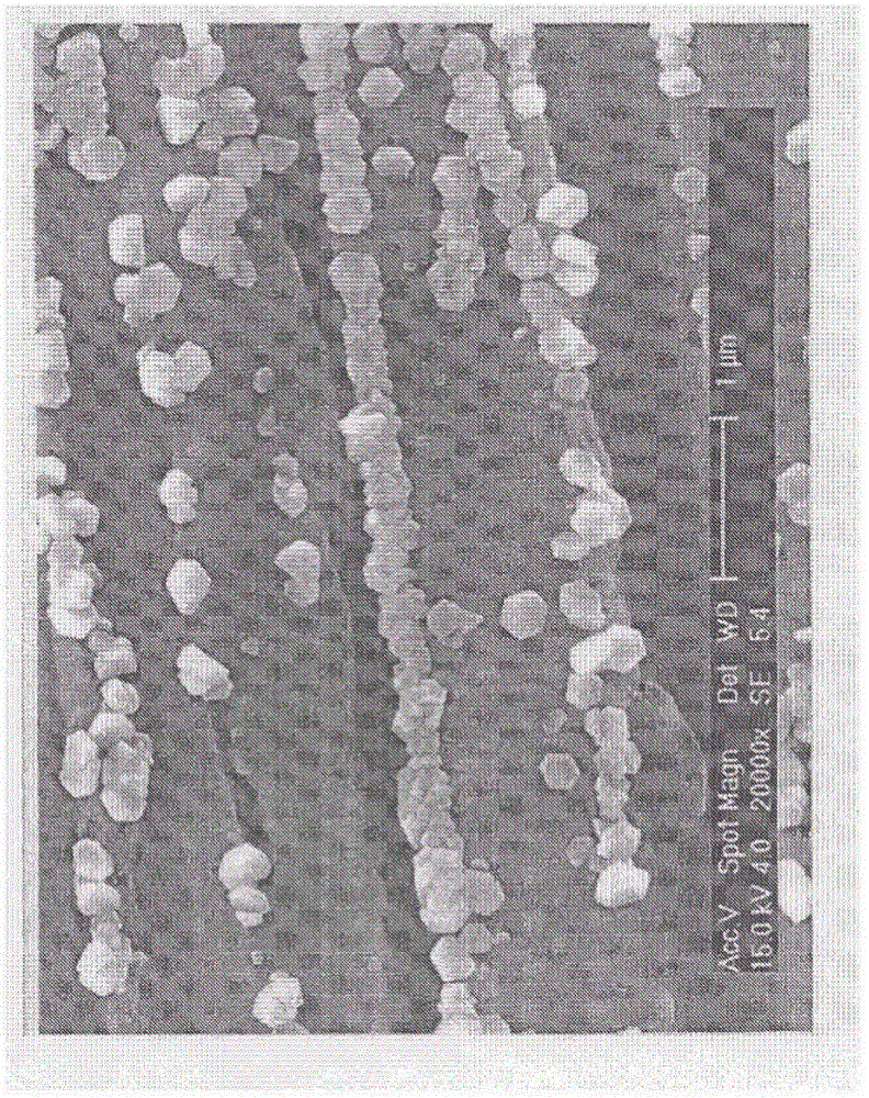 Method for producing metal complex quantum crystals