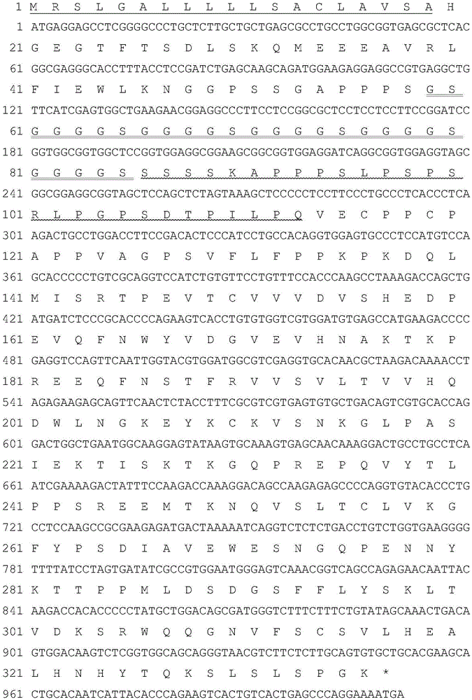 Hyperglycosylated Extendin-4, fusion protein of analogue thereof, and preparation method and application of fusion protein