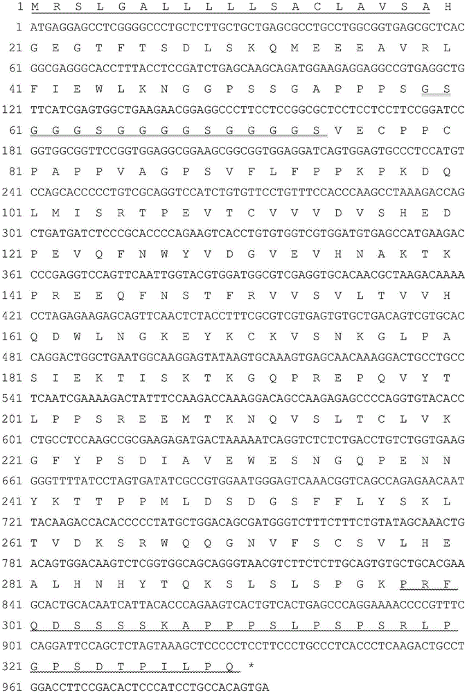 Hyperglycosylated Extendin-4, fusion protein of analogue thereof, and preparation method and application of fusion protein