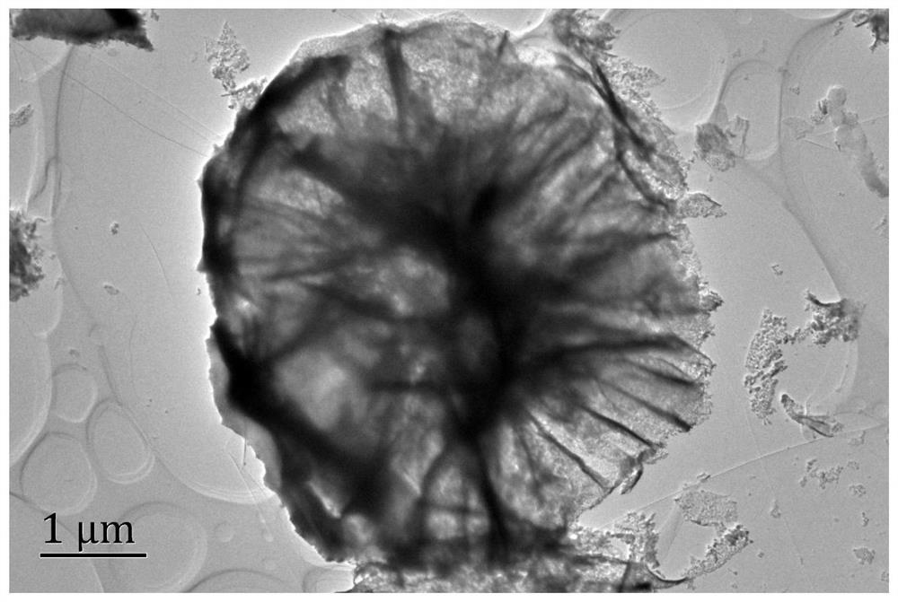 A kind of alkaline solution hydrogen evolution electrocatalyst nivru ternary alloy and its preparation method and application