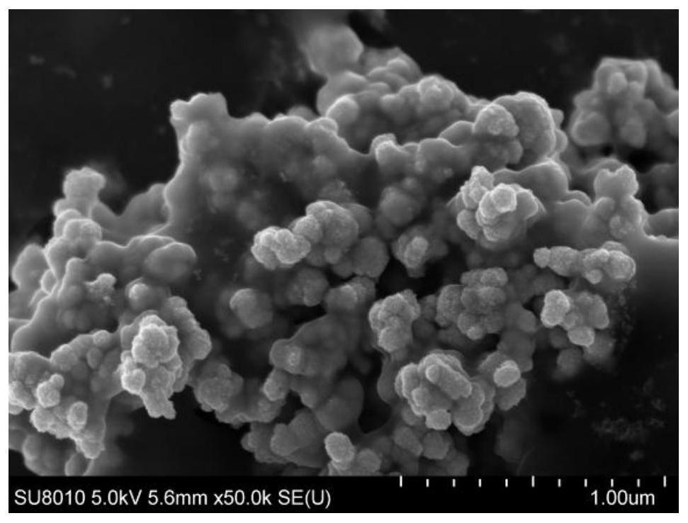 High-selectivity reduction catalyst for nitro-aromatic hydrocarbon as well as preparation method and application of high-selectivity reduction catalyst