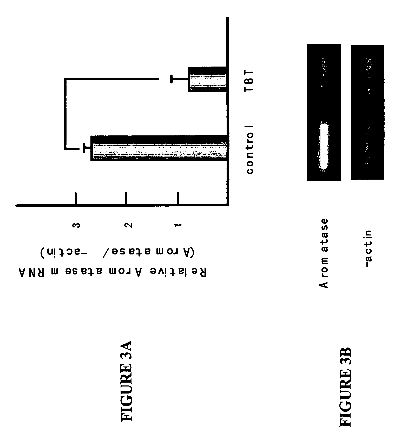 Method for identifying endocrine disruptors and kit for carrying out the same