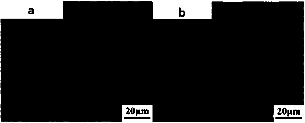 Near-net shaping preparation method of super double-phased stainless steel thin strip