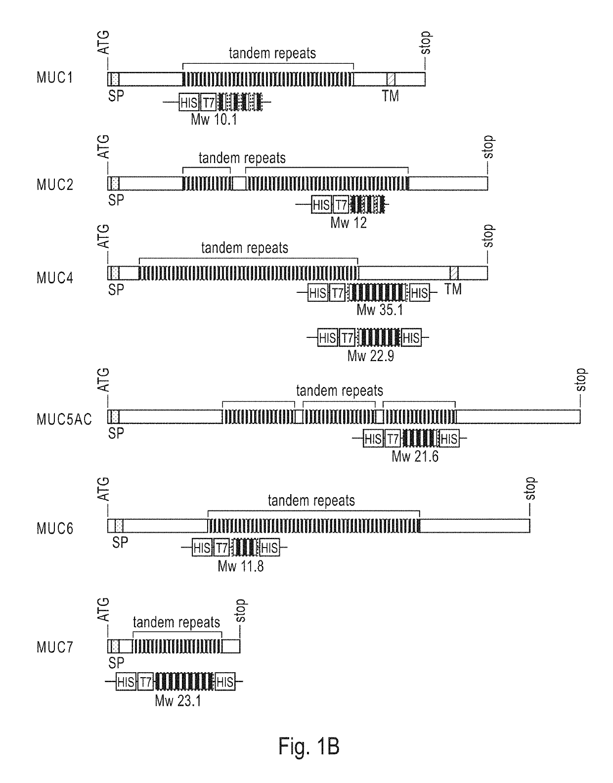 Method for early detection of cancer