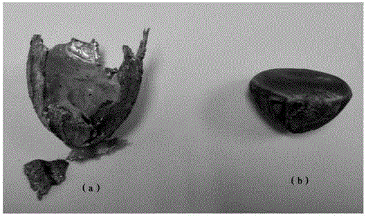 Controllable magnesium-containing hydrogen storage alloy preparation method