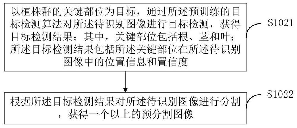 Weed recognition method and device, terminal equipment and readable storage medium