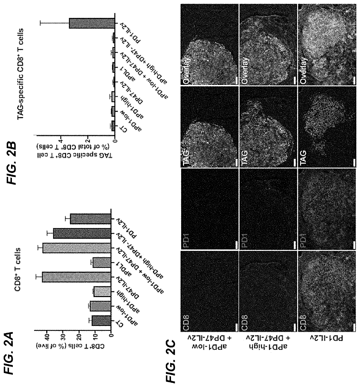 Combination therapy of PD-1-targeted IL-2 variant immunocytokines and antibodies against human PD-L1