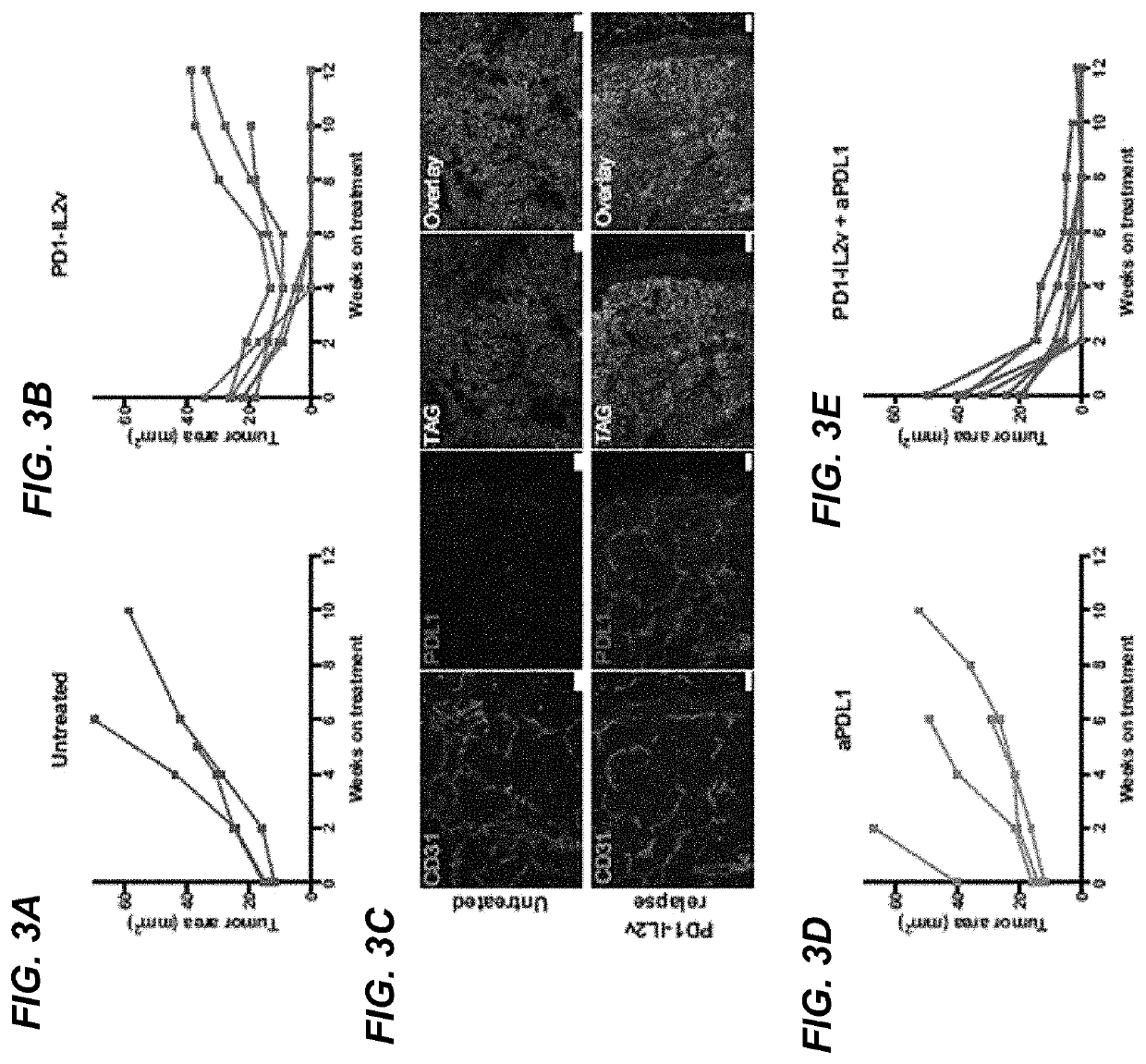 Combination therapy of PD-1-targeted IL-2 variant immunocytokines and antibodies against human PD-L1