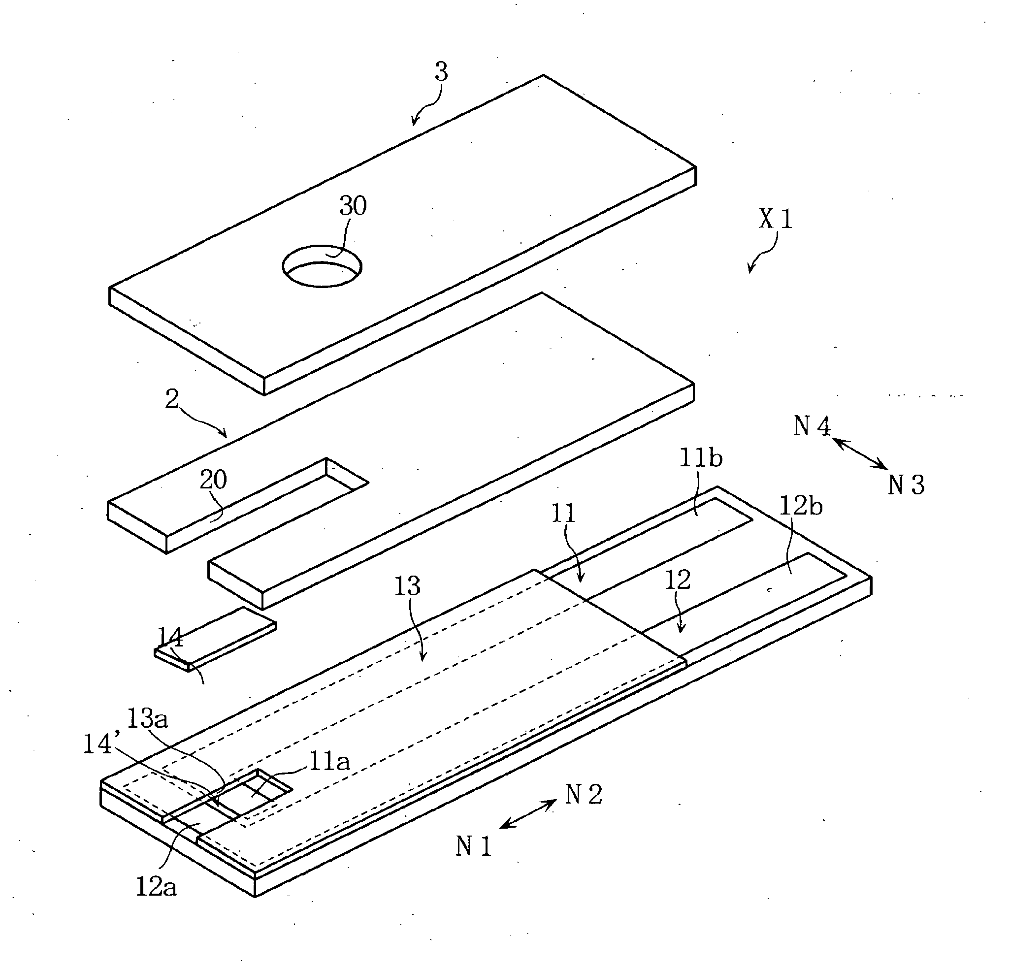 Biosensor incorporating protein-immobilized membrane and method of immobilizing protein in biosensor