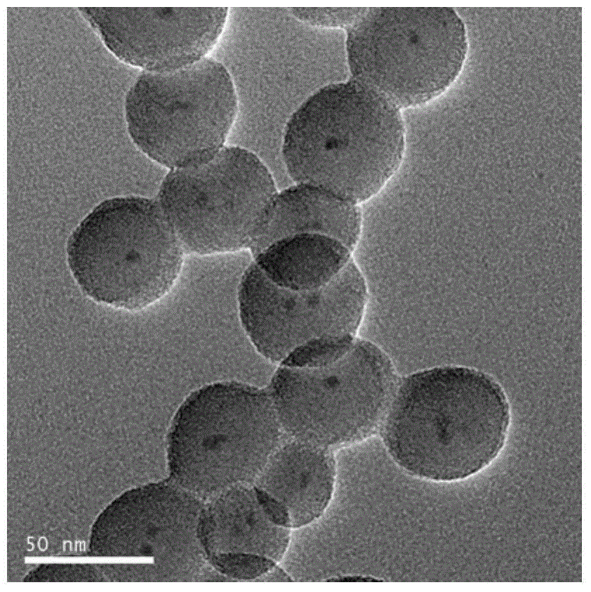 Dual-color fluorescence quantum dot embedded ratiometric probe and preparation method thereof