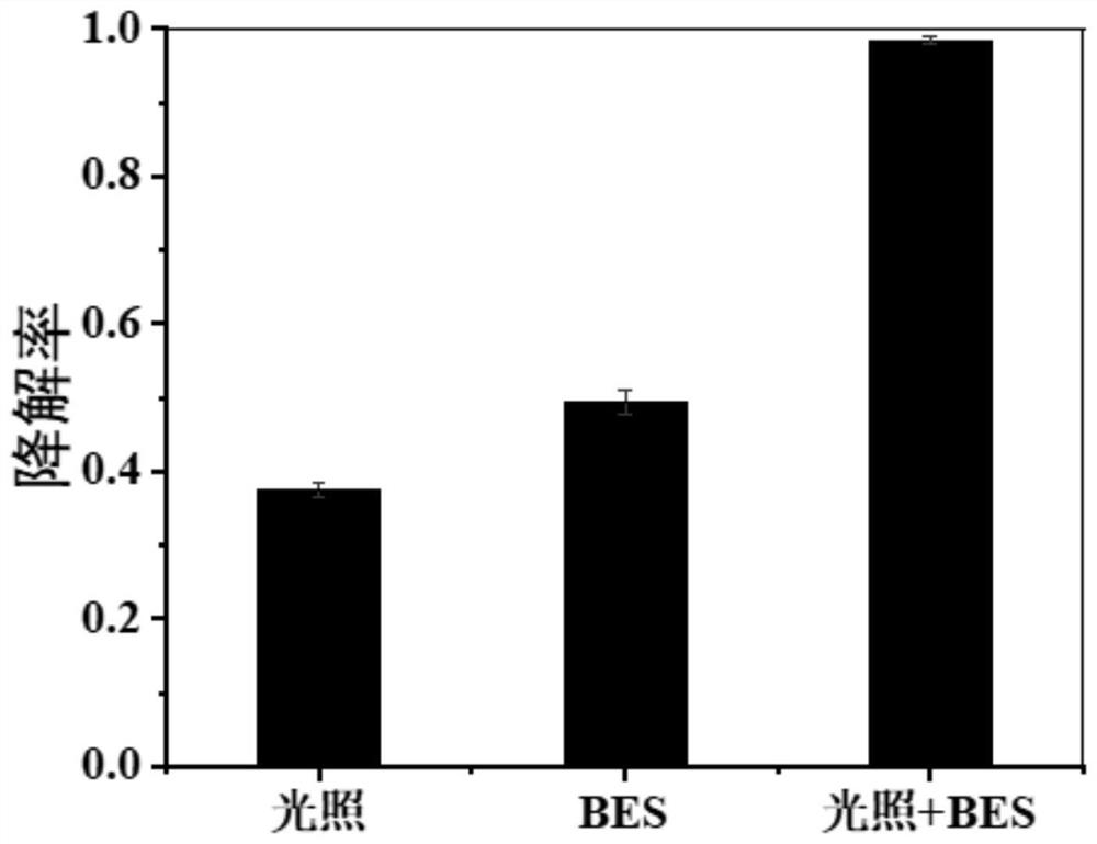 Device and method for efficiently degrading bisphenol A by coupling illumination with electroactive biological membrane