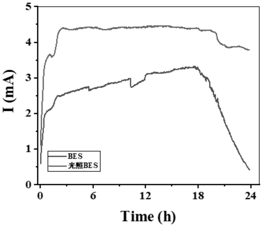 Device and method for efficiently degrading bisphenol A by coupling illumination with electroactive biological membrane