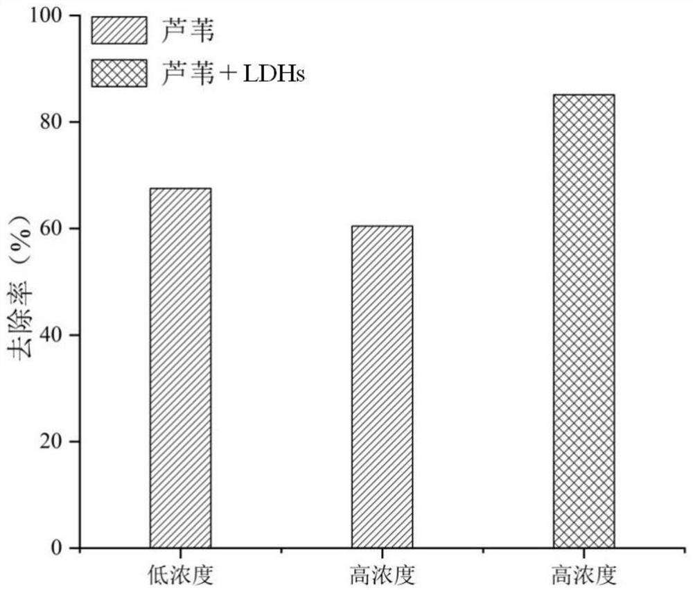 A kind of restoration method of pfass polluted wetland