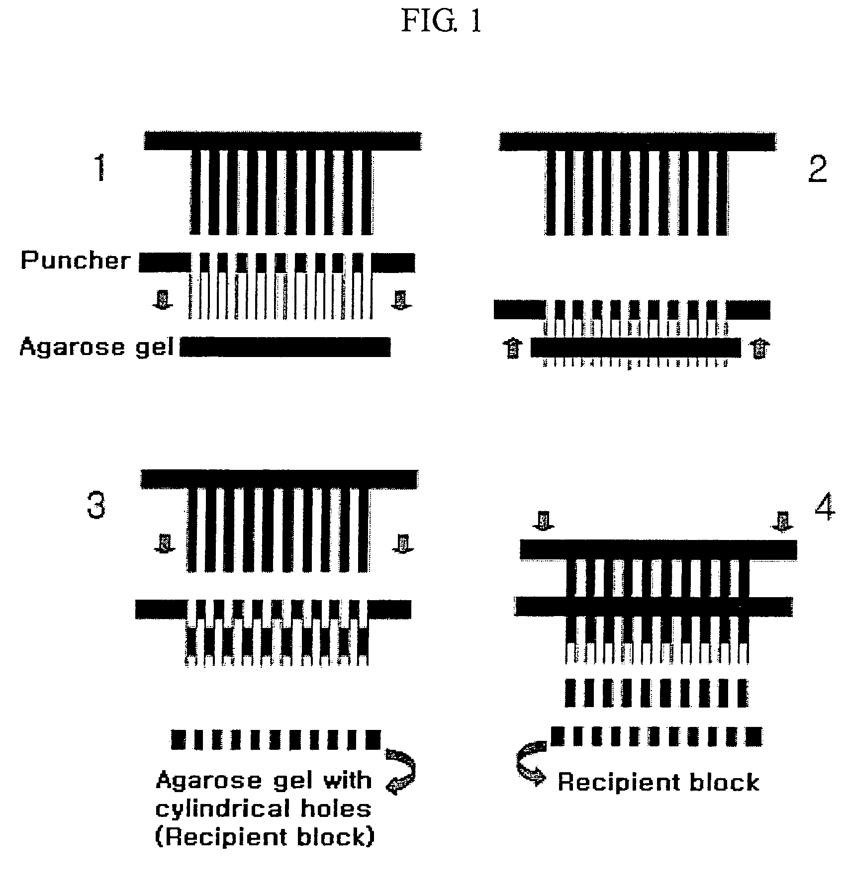 Recipient block and method for preparation thereof