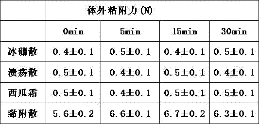 Oral adhesive powder and preparation method thereof