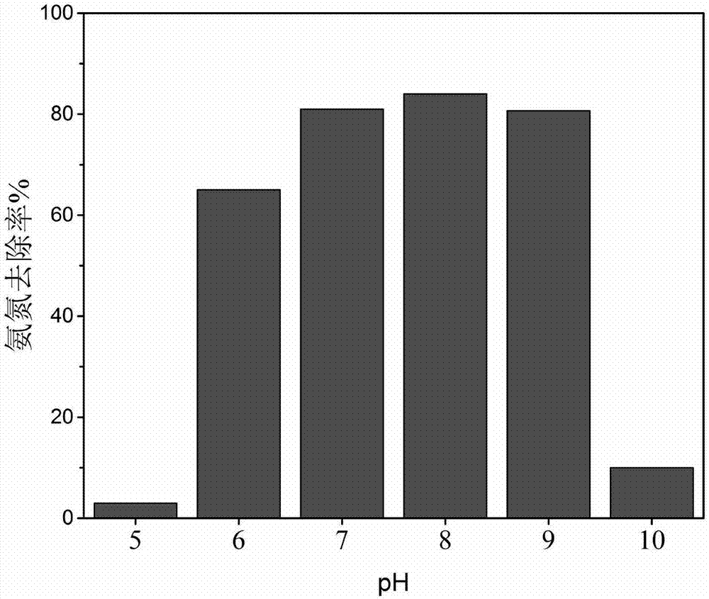 Low-temperature-resistance nitrobacteria and application thereof