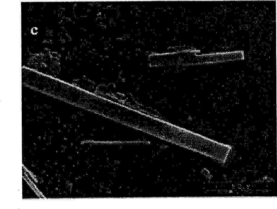 Photodegradation nano imidacloprid micro-capsules preparation method