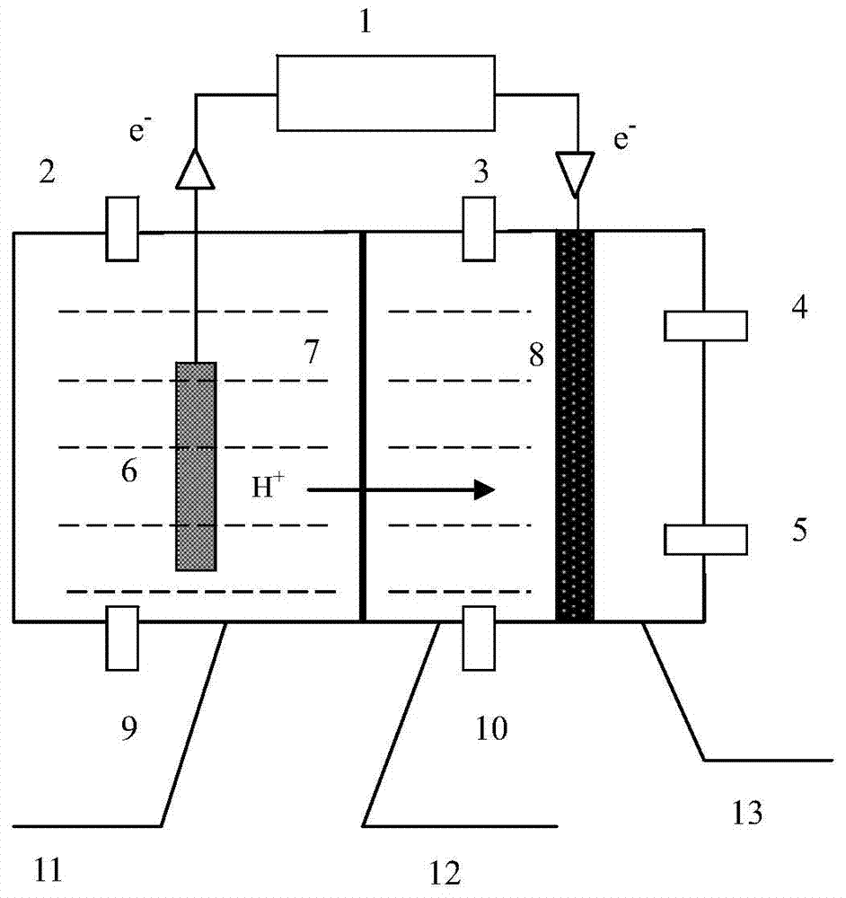 Apparatus and method for producing acetic acid by reducing carbon dioxide through microbial-electrochemical system