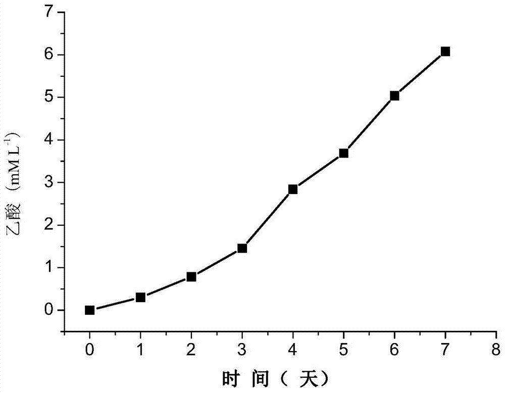 Apparatus and method for producing acetic acid by reducing carbon dioxide through microbial-electrochemical system