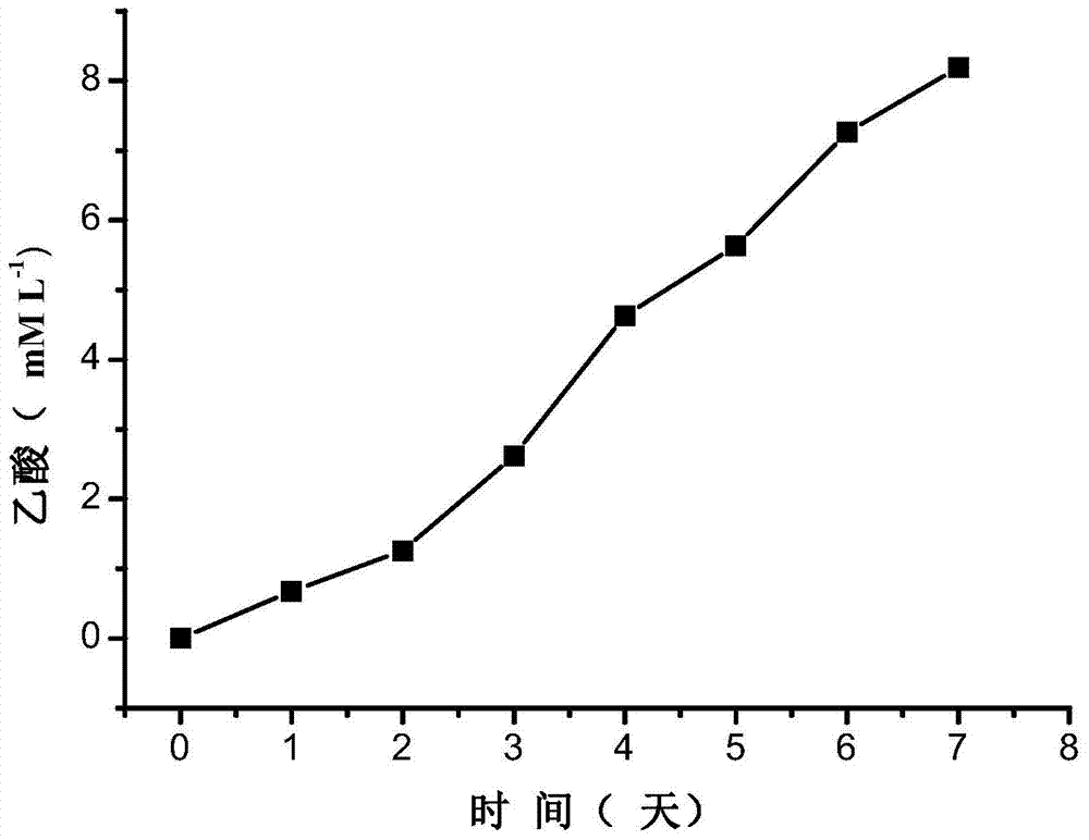 Apparatus and method for producing acetic acid by reducing carbon dioxide through microbial-electrochemical system