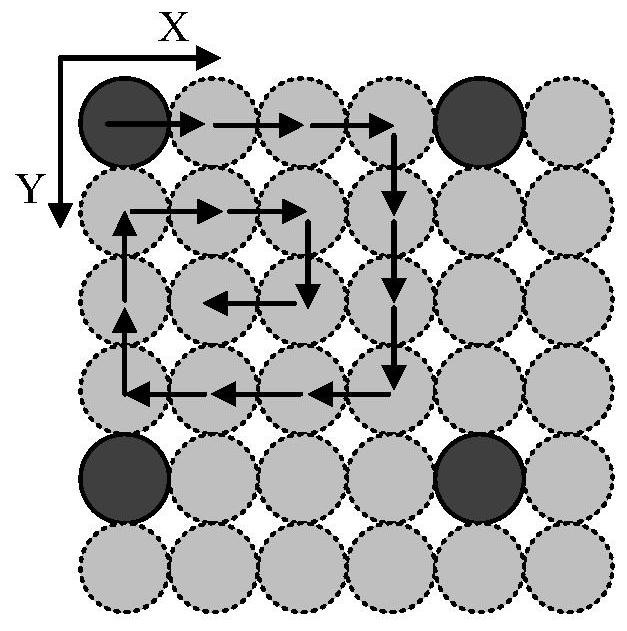 Near-infrared two-region microscopic imaging system and method based on laser scanning