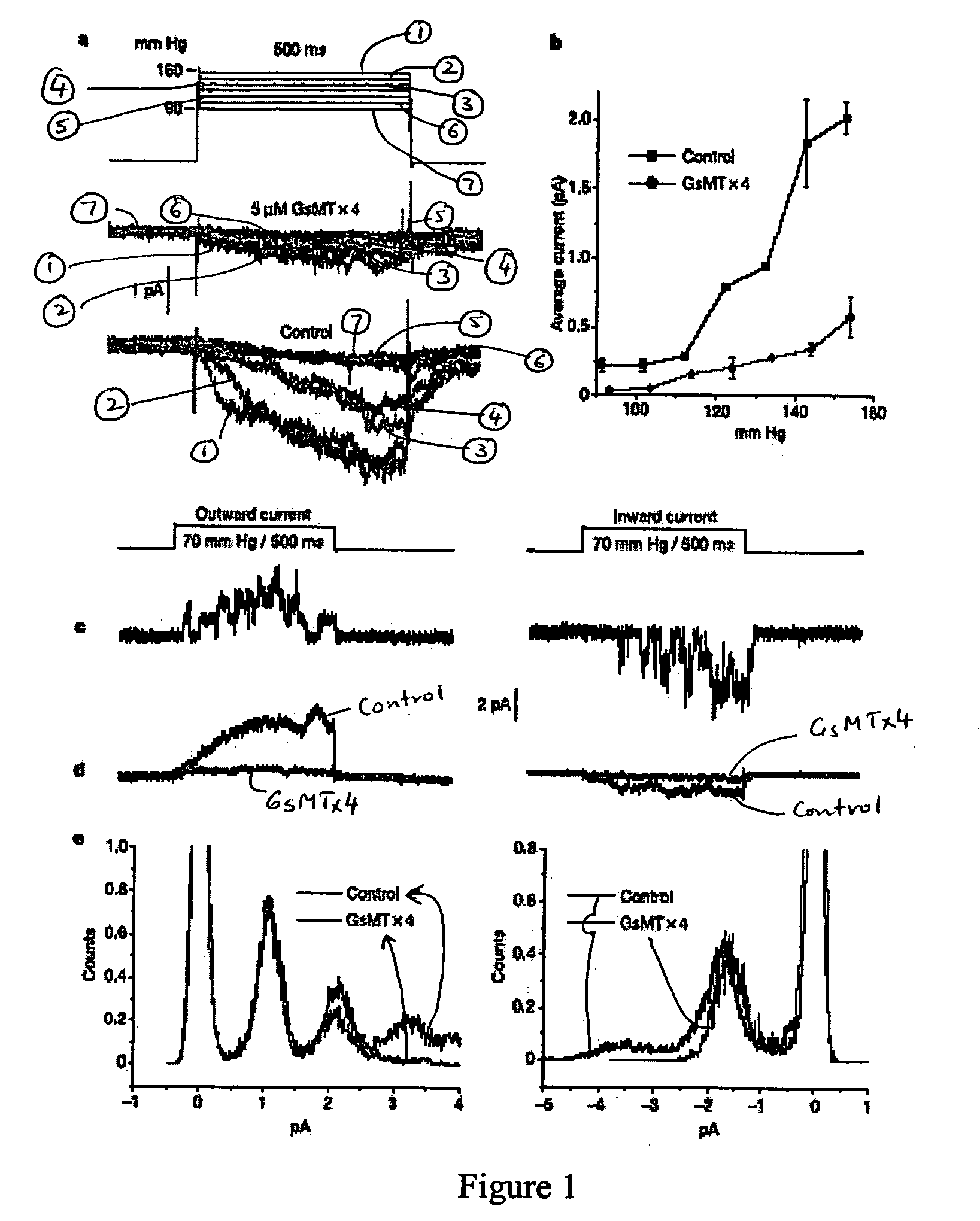 Mechanically activated channel blocker