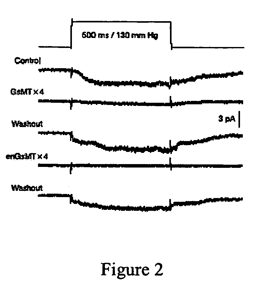 Mechanically activated channel blocker