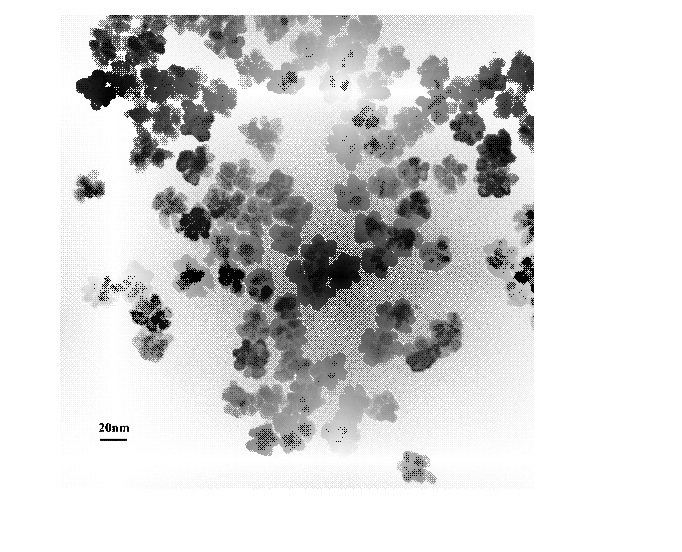 Platinum nanometer material and preparation method thereof