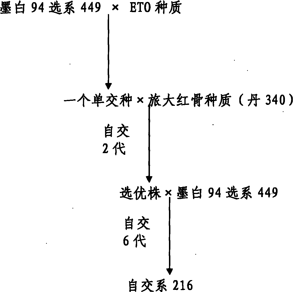 Breeding method for maize inbred line