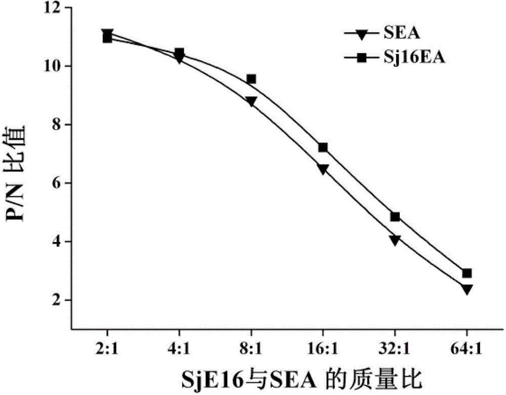 Schistosomiasis electrochemistry sensing quick determination kit, detection method and preparation method of kit