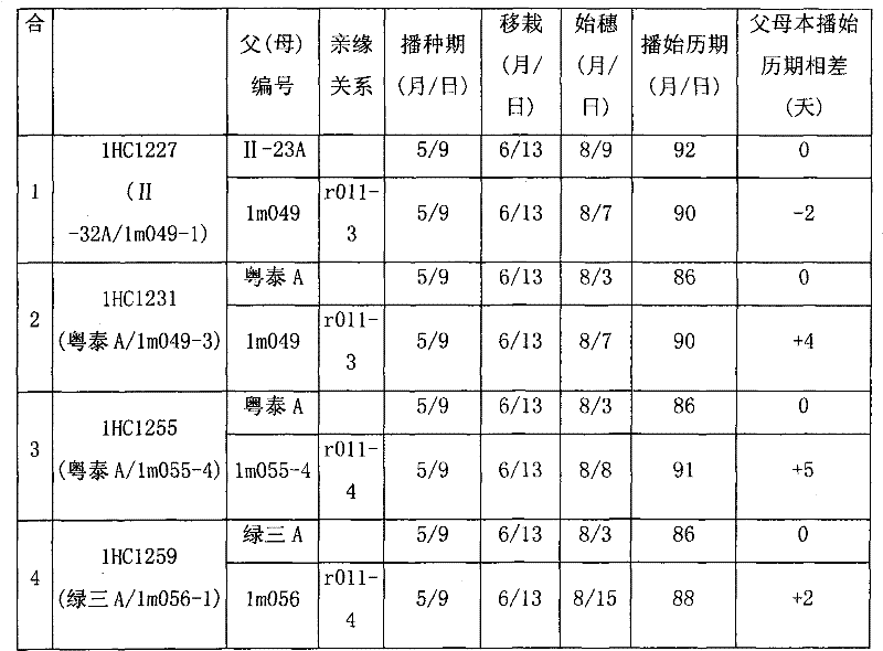 Production method for mechanized production of rice seed