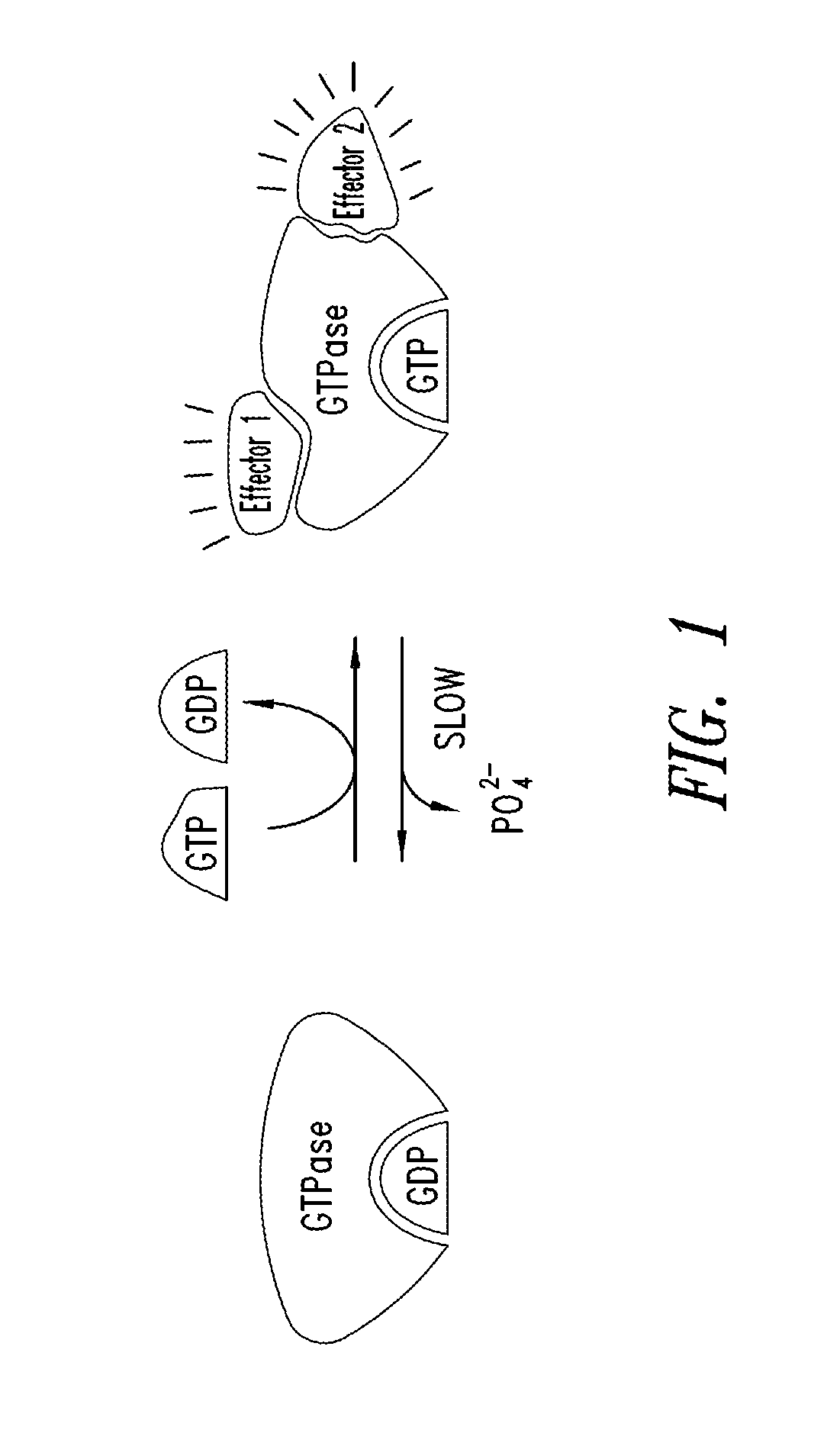 Inhibitors of kras g12c mutant proteins