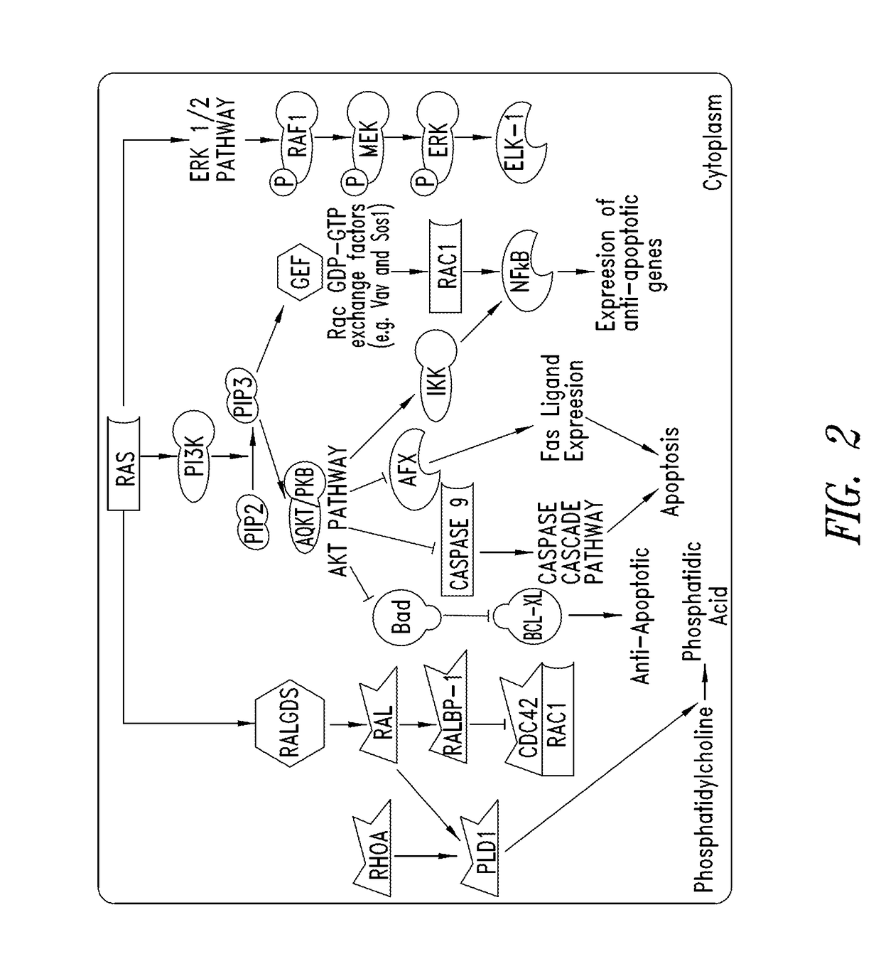 Inhibitors of kras g12c mutant proteins