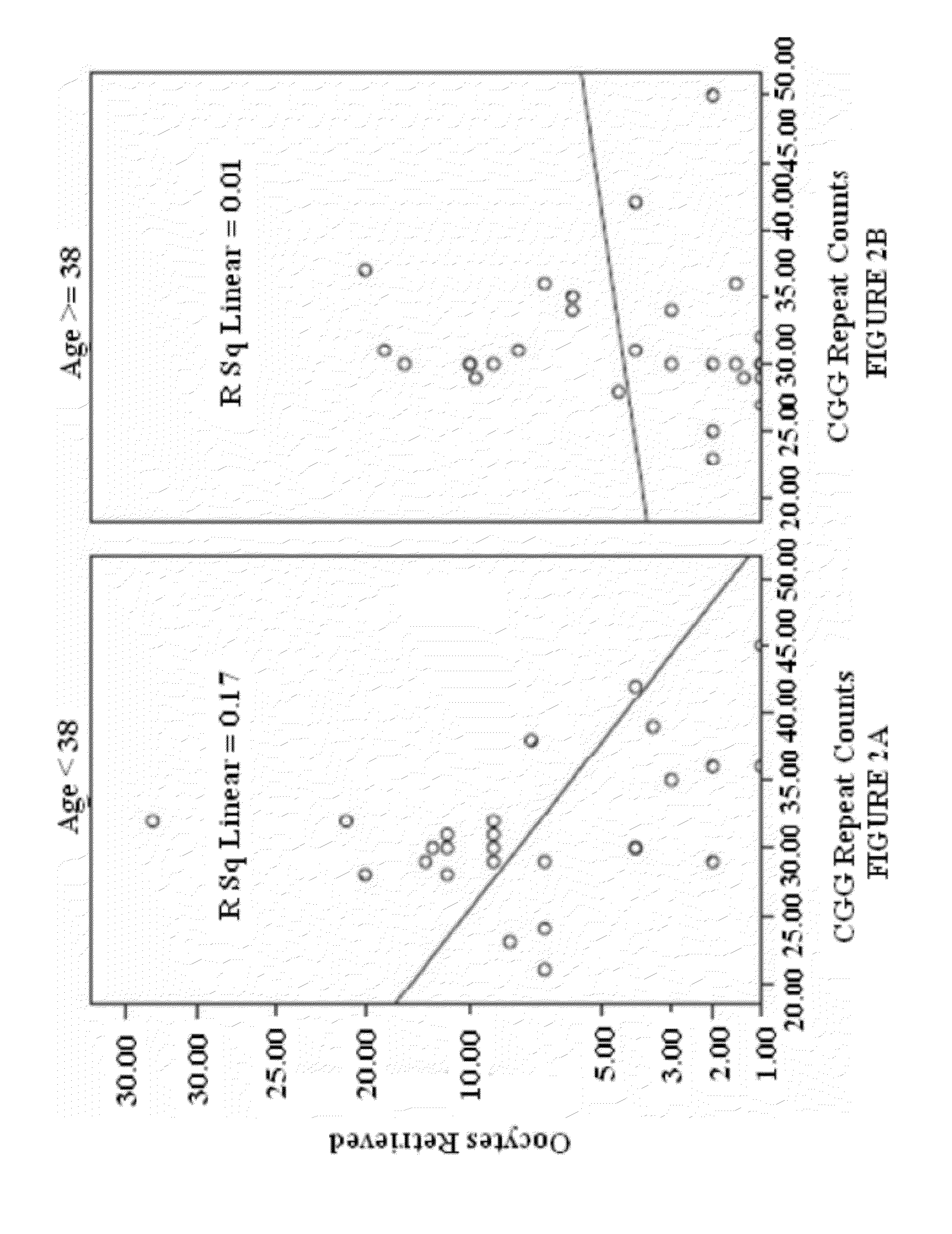 Analyzing the fmr1 gene