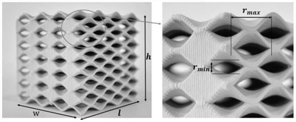 Method and system for generating porous connected reef body based on 3D printing