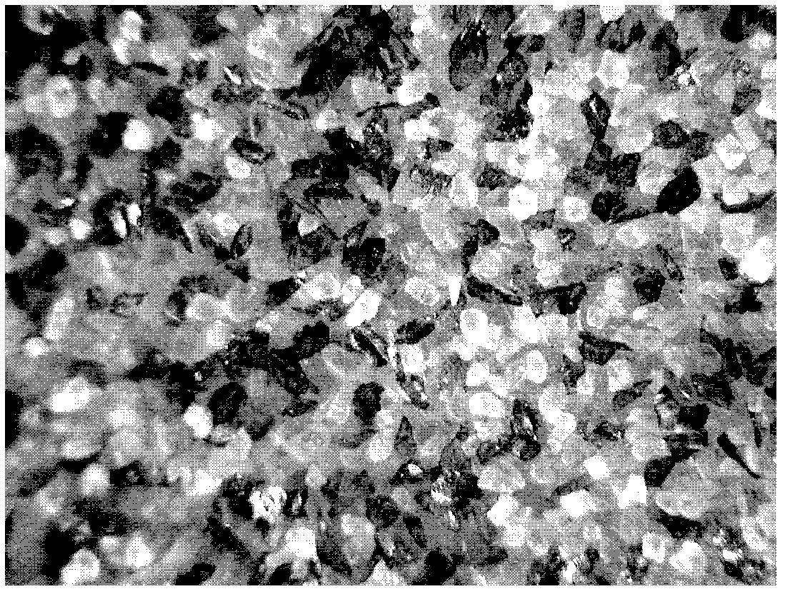 Method for rapidly detecting mixing uniformity of powdery material