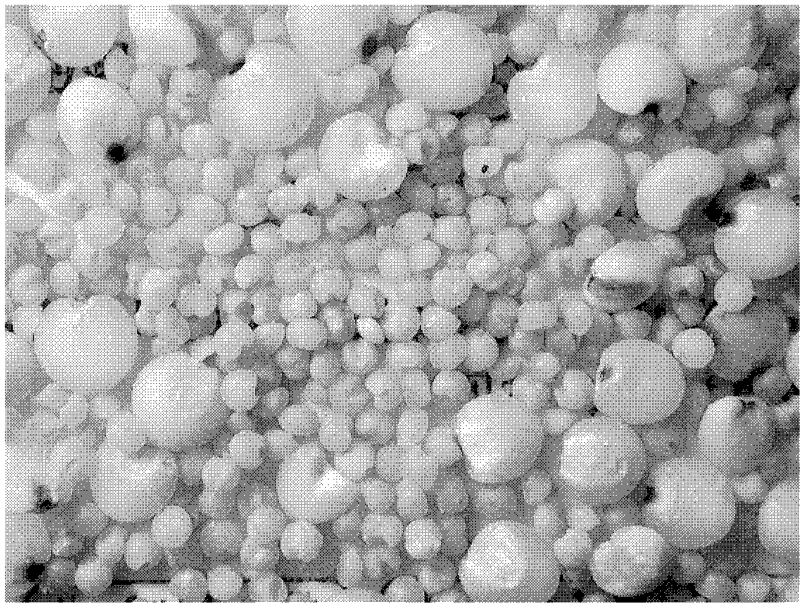 Method for rapidly detecting mixing uniformity of powdery material