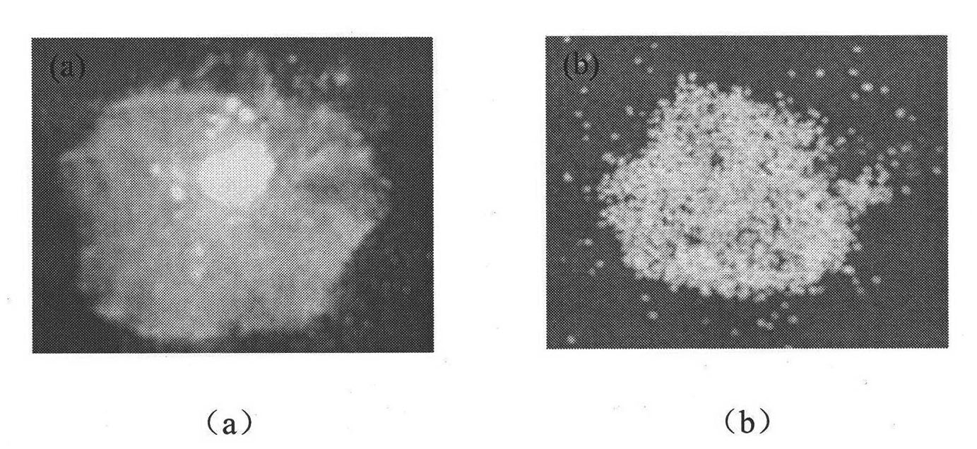 Crystal separating drug sustained-release microspherule and preparation method thereof