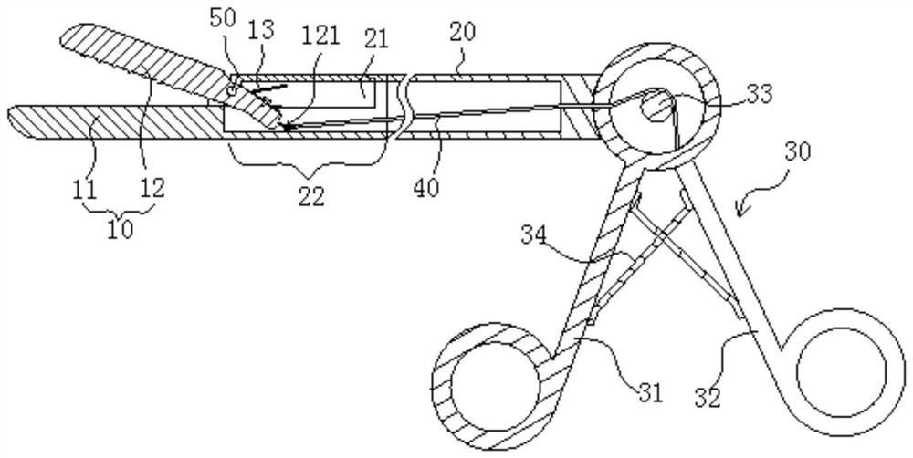 tendon guiding forceps