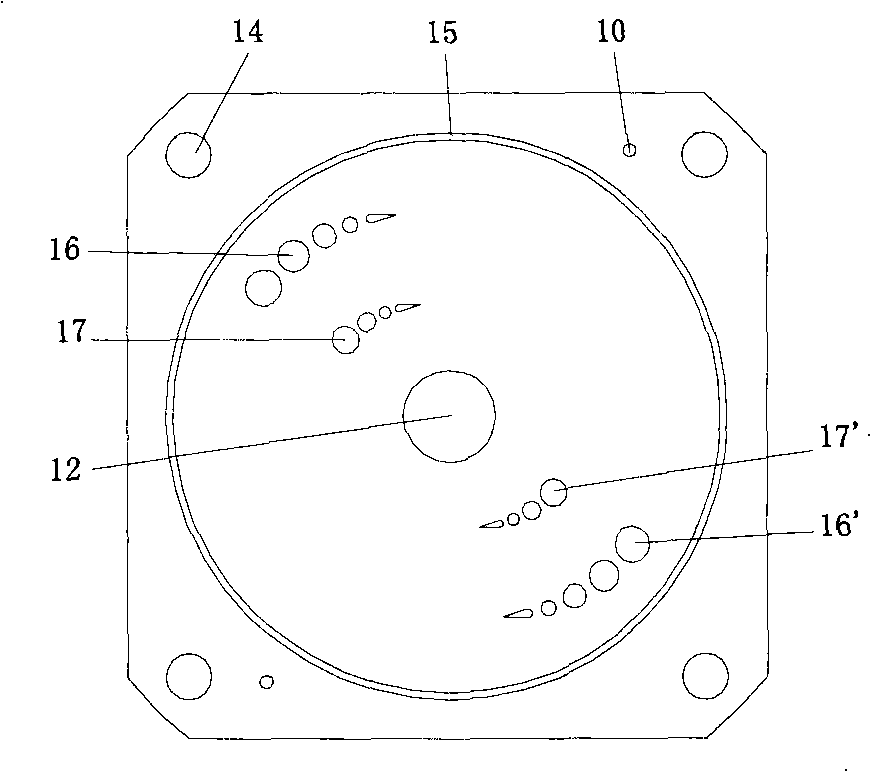 Double oil path vane pump /motor